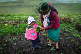 Primer Comit&eacute; Intersectorial para la Desnutrici&oacute;n Cr&oacute;nica Infantil se realiz&oacute; en Quito