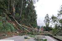 Luego de que se identificaran 1.000 árboles en riesgo de caída, el Municipio implementa un plan de tala y reforestación. 