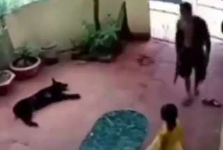 Perro 'finge' estar muerto y salva a una ni&ntilde;a de ser atacada