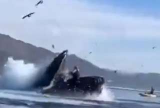 Una ballena se &ldquo;trag&oacute;&rdquo; a dos mujeres y luego las &ldquo;escupi&oacute;&rdquo;