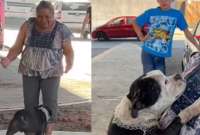 Perrita se encuentra a su familia dos años después de ser robada