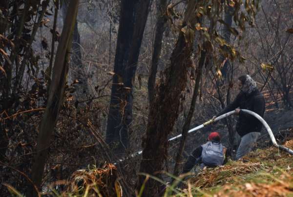 El alcalde de Quito, Pabel Mu&ntilde;oz, dio detalles sobre la declaratoria de emergencia en Quito frente a los incendios forestales. 