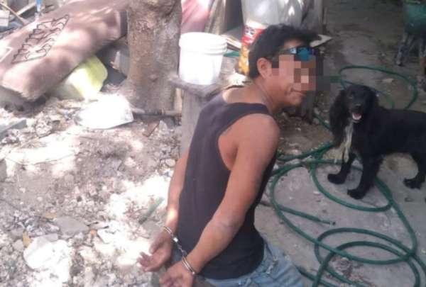 Las autoridades alertan sobre los da&ntilde;os por el consumo de gatos. 