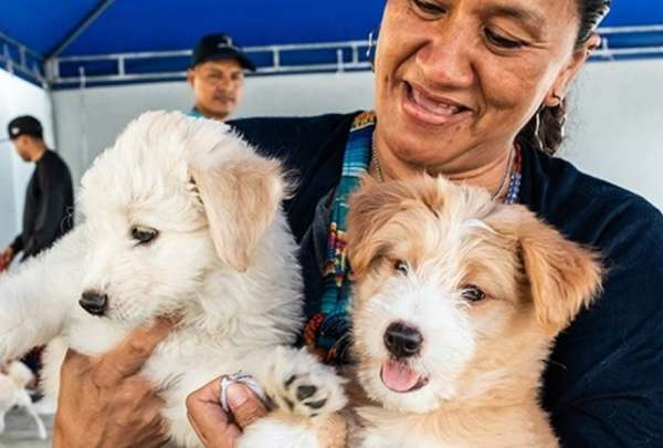 En diciembre se realizar&aacute;n cinco ferias de adopci&oacute;n de perros y gatos en Guayaquil. 