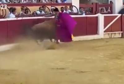 El Cordob&eacute;s fue hospitalizado tras ser embestido por un toro
