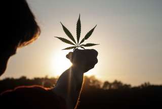 Nueva York abri&oacute; su primera tienda de venta de cannabis