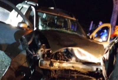 Hipop&oacute;tamo muri&oacute; tras chocar con un veh&iacute;culo en Colombia