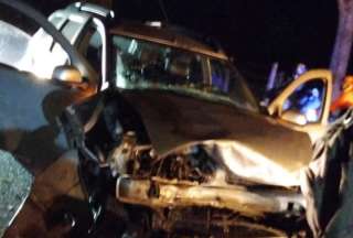 Hipop&oacute;tamo muri&oacute; tras chocar con un veh&iacute;culo en Colombia