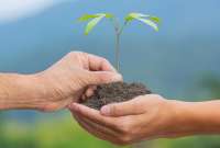  Proyectos e iniciativas que marcar&aacute;n la educaci&oacute;n y el medio ambiente en Ecuador en 2025.