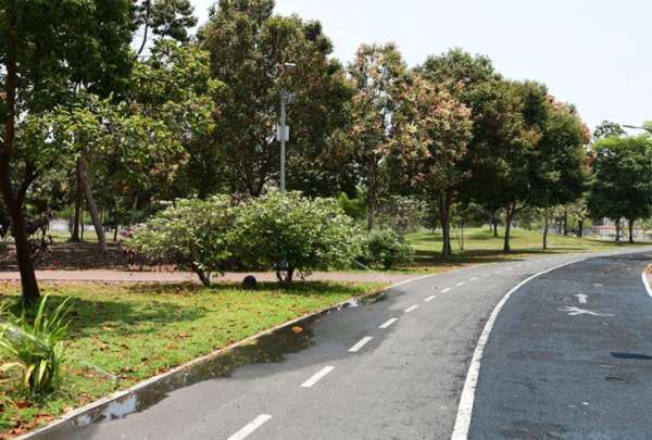 Las competencias del Parque Samanes pasar&aacute;n a cargo del Ministerio de Ambiente. 