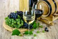 Estas son las nuevas tendencias para el consumo de vino: sin alcohol, enoturismo y en copas.