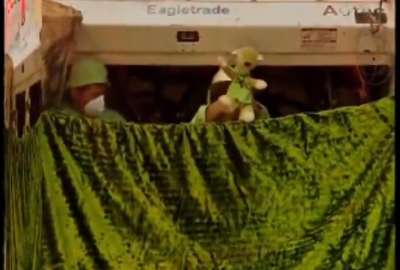 En Cuenca, un veh&iacute;culo recolector de basura a cargo de las "Hormiguitas Ch&uacute;as" se convirti&oacute; en un miniteatro. 