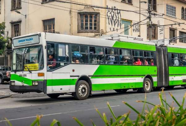 Est&aacute; previsto que la ciudad cuente con estas unidades, que funcionan con electricidad, en 2025.