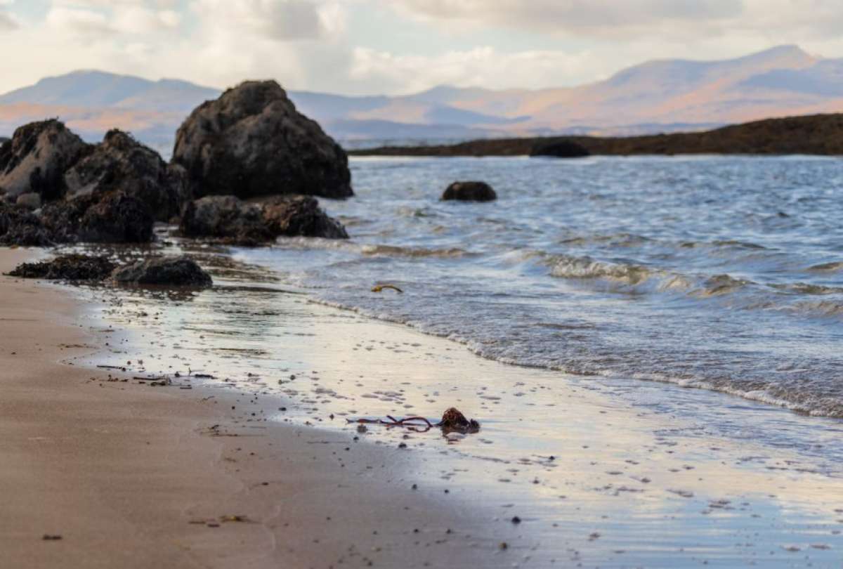 Encuentran restos de lo que parece ser una sirena en Australia