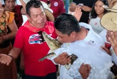 Alcalde mexicano se cas&oacute; con un caim&aacute;n en medio de un ritual