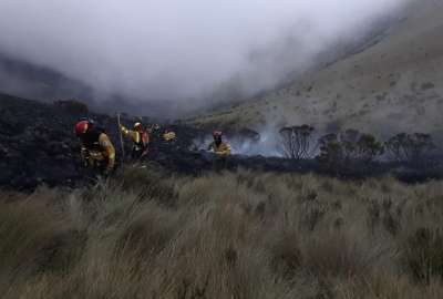 En los trabajos de extinci&oacute;n y control de este incendio, los bomberos desplegaron 35 uniformados.