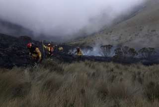 Incendio forestal en el sector del Carmen &ndash; Sincholagua fue controlado