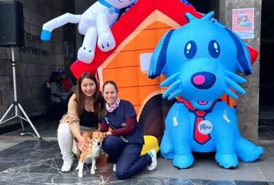 La perrita Maribel ya tiene una nueva familia en Quito.