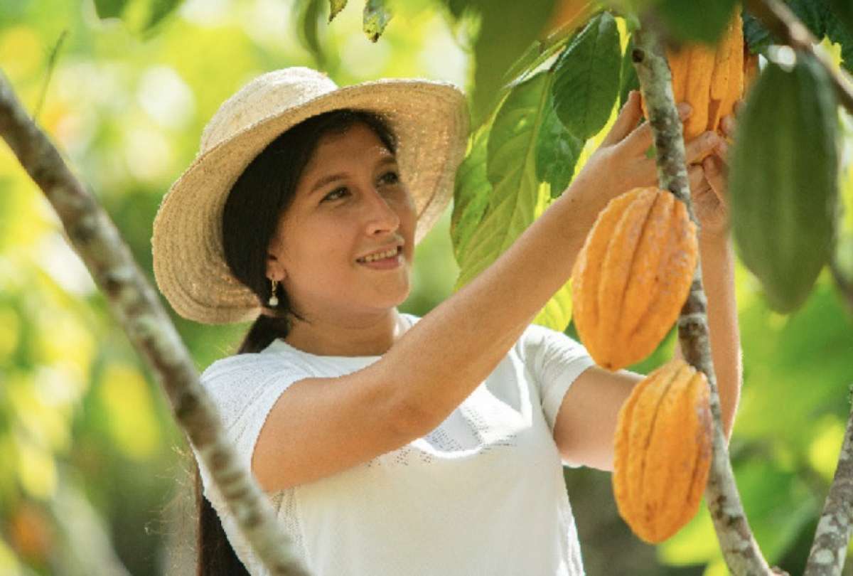 Ecuador da un paso m&aacute;s en la lucha contra la deforestaci&oacute;n