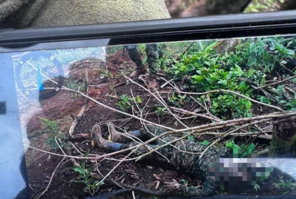 Ej&eacute;rcito inform&oacute; sobre dos cuerpos de guerrilleros del grupo &ldquo;Comandos de Frontera&rdquo; encontrados en Alto Punino. 