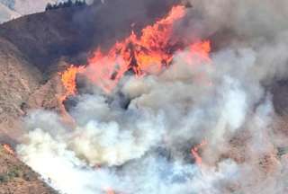 Incendio forestal en Quilanga devasta m&aacute;s de 160 hect&aacute;reas de bosque