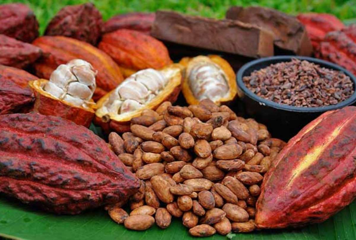 El Ministro de Agricultura y Ganadería cumple agenda en Roma, Italia.