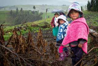 Caminatas en nueve ciudades de Ecuador para combatir la desnutrici&oacute;n infantil