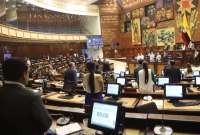 Asamblea solicitó comparecencia de Ivonne Núñez en el marco de la investigación por presuntas irregularidades en el sindicato de trabajadores del IESS.