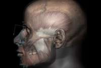 Investigadores reconstruyen el rostro de tres personas que vivían en la edad media.