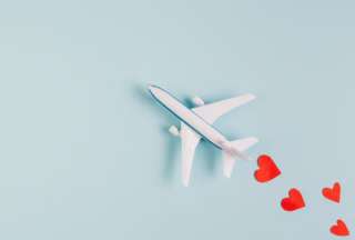 &iexcl;Ni la altura lo detuvo! Pidi&oacute; la mano a su novia en pleno vuelo