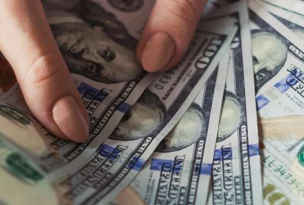 El Gobierno transfiri&oacute; USD 2.628 millones al IESS