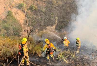 &iquest;Cu&aacute;les son los efectos que dejan los incendios? 