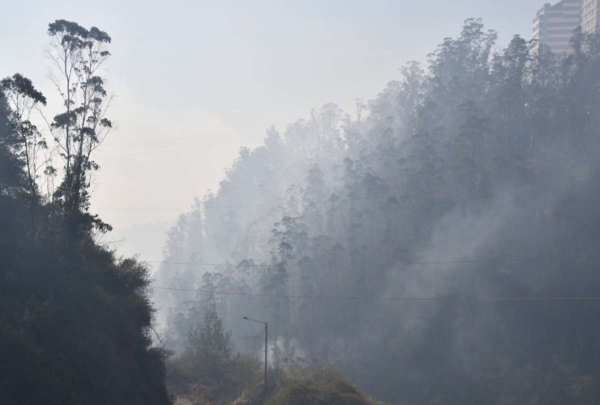 Acciones responsables y simples pueden marcar la diferencia en la prevención de incendios.