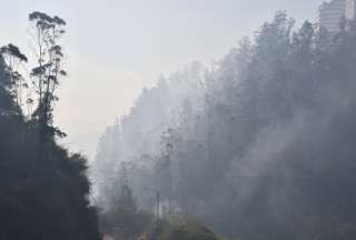 &iquest;C&oacute;mo prevenir incendios forestales? Consejos para proteger bosques