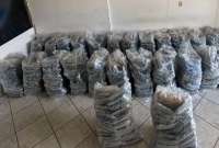 La Policía Nacional incautó cinco toneladas de droga en operativos realizados en Guayas y Sucumbíos.