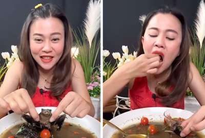 La bloguera Phonchanok Srisunaklua podr&iacute;a ir a la c&aacute;rcel por comer murci&eacute;lagos