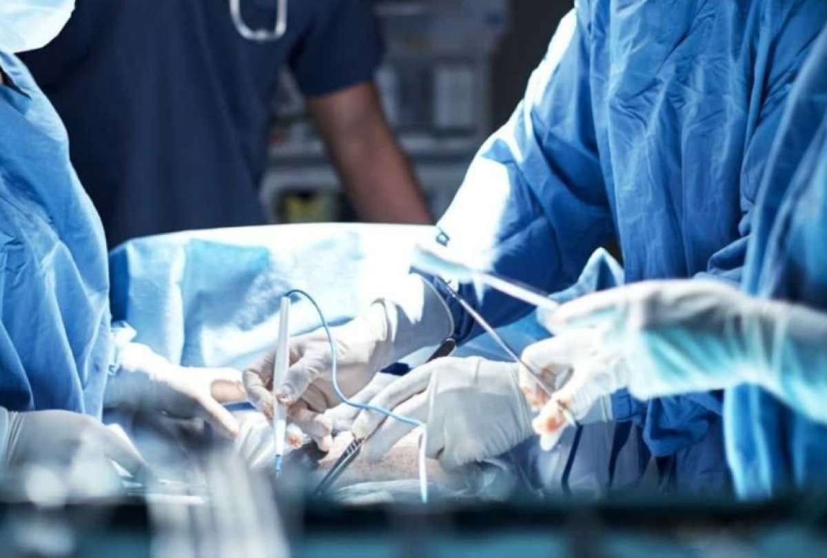 Primer trasplante de coraz&oacute;n de cerdo a un humano se realiz&oacute; con &eacute;xito