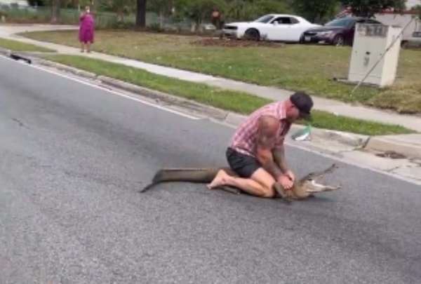 Este hombre decidi&oacute; quitarse los zapatos e ir tras el cocodrilo hasta poder atraparlo.