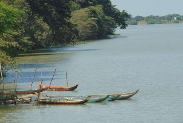 Las autoridades del Ministerio del Ambiente, Agua y Transici&oacute;n Ecol&oacute;gica informaron que el r&iacute;o Daule de Guayaquil estar&iacute;a contaminado.&nbsp;