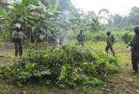 La identificación de las zonas de plantaciones de coca estuvo a cargo de personal militar.