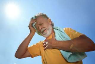 &iquest;C&oacute;mo detectar enfermedades provocadas por el calor?
