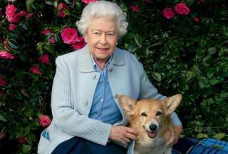 Perros corgis alcanzan precios r&eacute;cord en el Reino Unido tras la muerte la reina Isabel II
