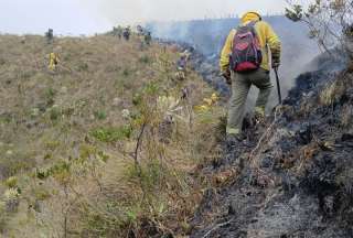 17 incendios forestales est&aacute;n activos en el pa&iacute;s