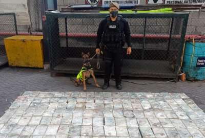 La Polic&iacute;a Nacional inform&oacute; que ha retirado 5 mil millones de dosis.