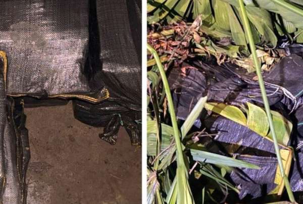 Una tonelada de coca&iacute;na fue decomisada en un operativo policial.