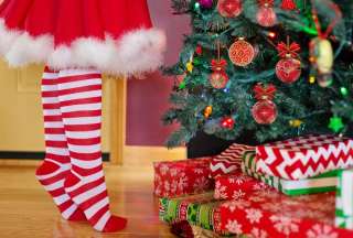 Familia encuentra un b&uacute;ho habitando su &aacute;rbol de Navidad