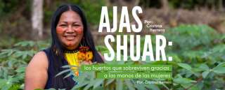 Ajas Shuar Los huertos que sobreviven gracias a manos de mujeres