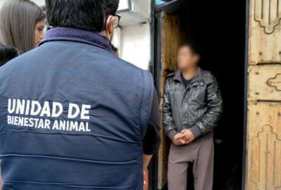 USD 4.250 de multa a quien provoque da&ntilde;o o sufrimiento a animales