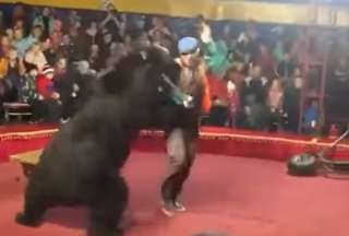 Oso atac&oacute; a su domador en pleno show