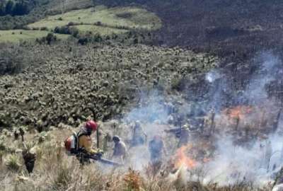 En redes sociales se han compartido im&aacute;genes y videos de lo que ocurre en la Reserva Ecol&oacute;gica El &Aacute;ngel , en Carchi.